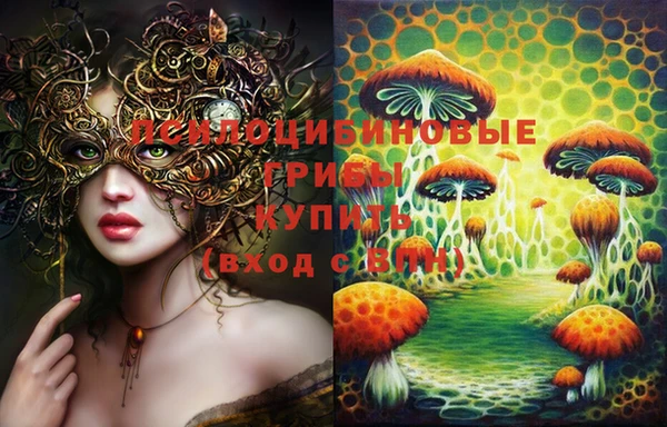 круглые Алзамай
