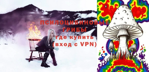круглые Алзамай