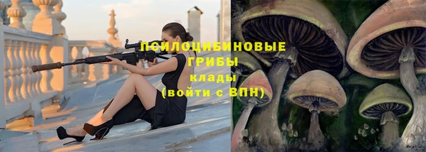 прущие крисы Алексин
