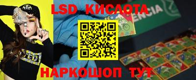 прущие грибы Чебоксары