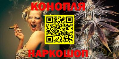 прущие грибы Чебоксары