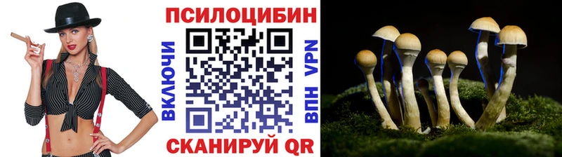 Псилоцибиновые грибы мухоморы  где можно купить   Переславль-Залесский 