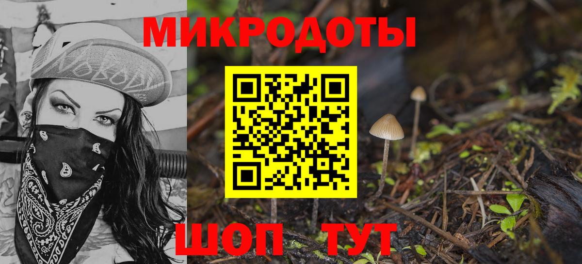 Галлюциногенные грибы Psilocybe  Вход с VPN  Переславль-Залесский 